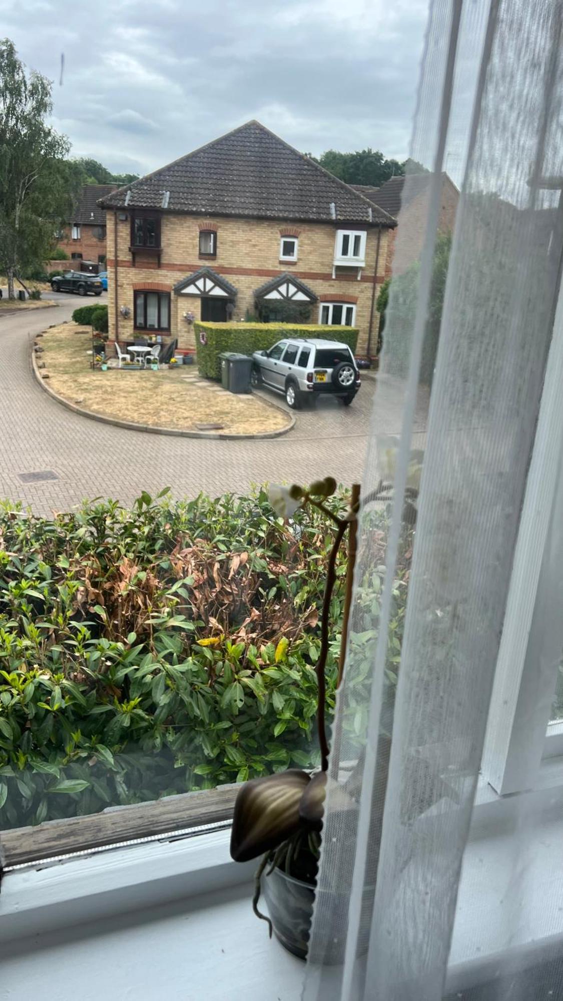 Beautiful Apartment In Guildford With Parking Send Zewnętrze zdjęcie